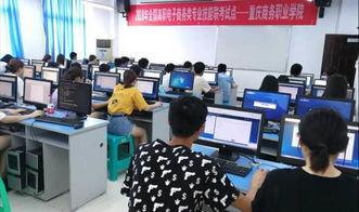 电子商务专业没有专业大类吗